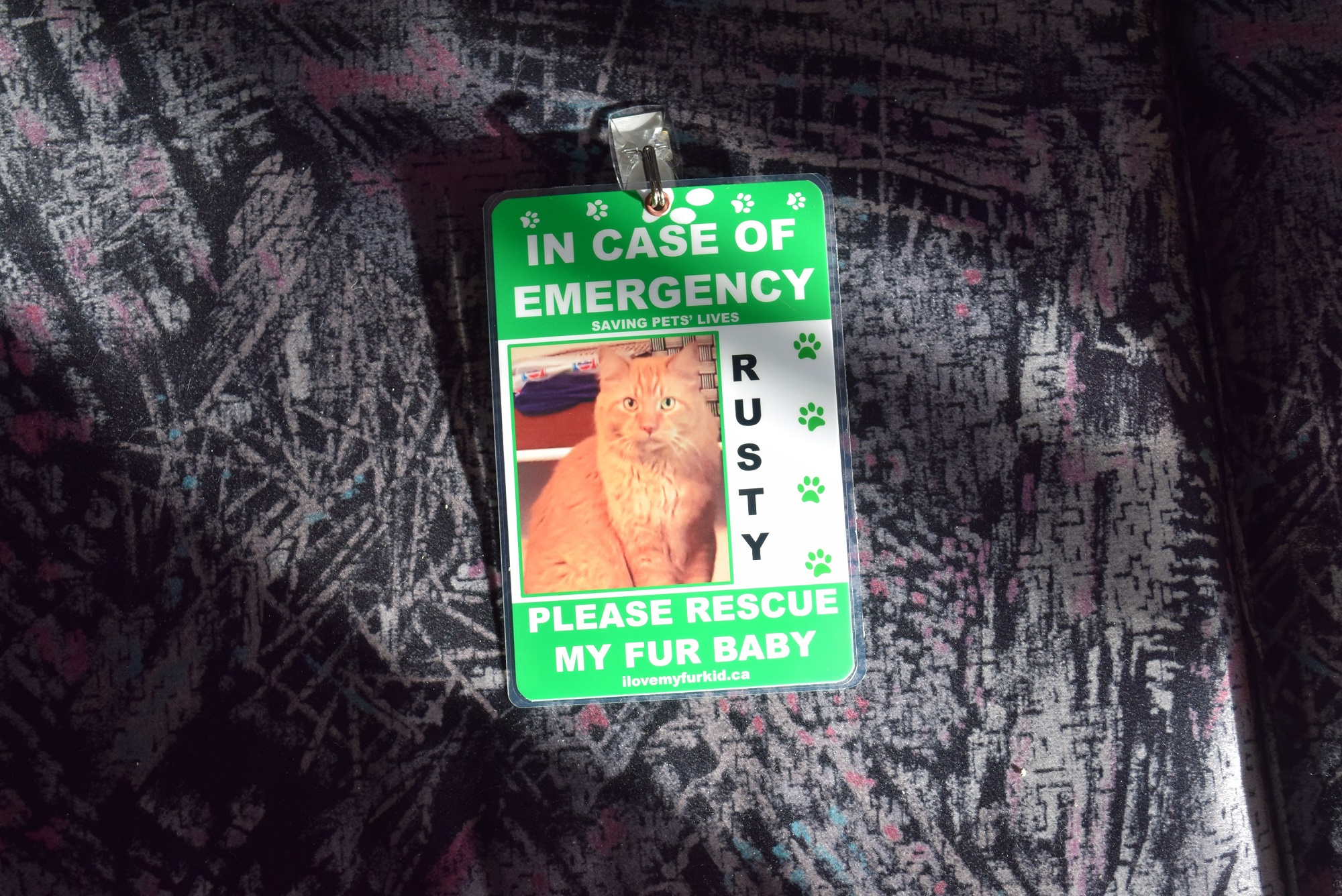 Vancouver Island, British Columbia - Canada